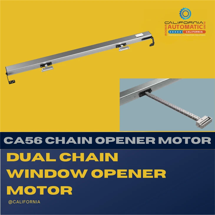Dual Chain Window Motor